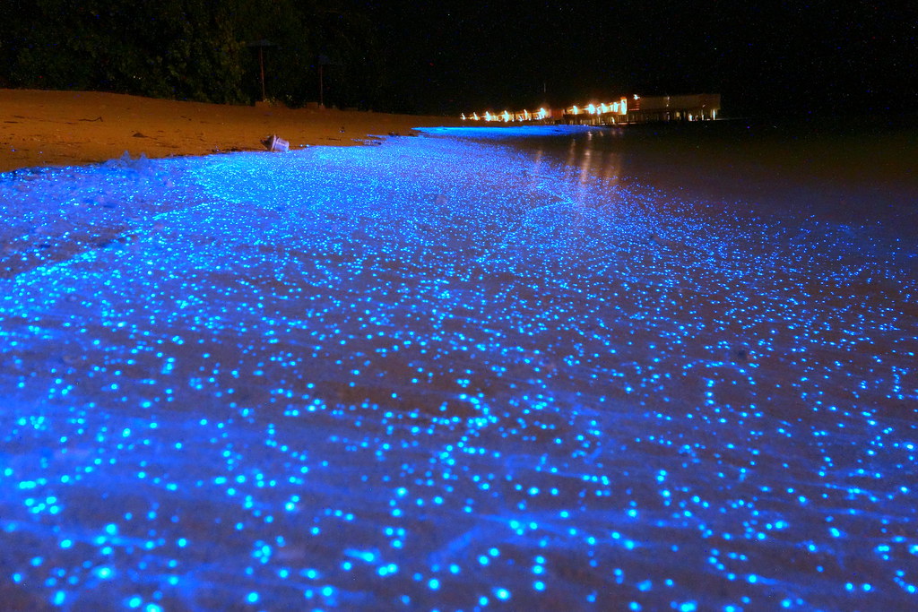 Maldives‎-blue sand