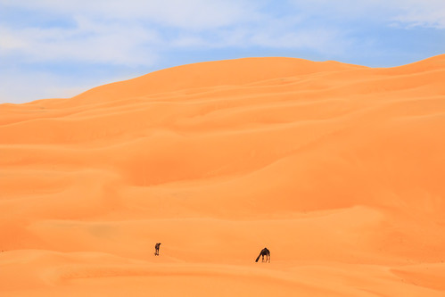 desert dune abudhabi sanddune liwa liwaoasis emptyquarter rubalkhali مرعب الربعالخالي تلمرعب 20140127img1425