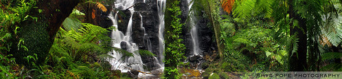 fern tree green water creek forest canon waterfall moss woods rainforest rocks stream australia bluemountains aussie mtwilson mountwilson 500d rhyspope