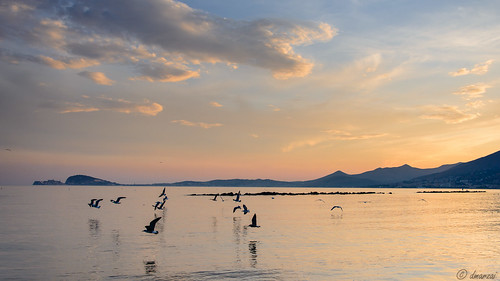 sunset sea summer sky birds landscape fly nikon italia lazio formia iamnikon nikond7100