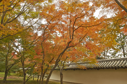 【写真】2013 紅葉 : 東福寺/2021-05-18/IMGP3403
