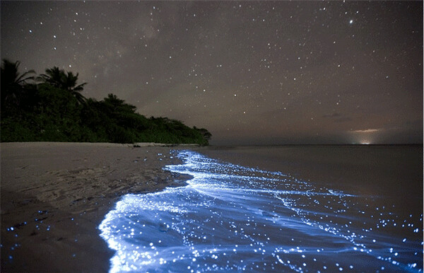 Sea of Stars on Vaadhoo Island in the Maldives [600 x 386]