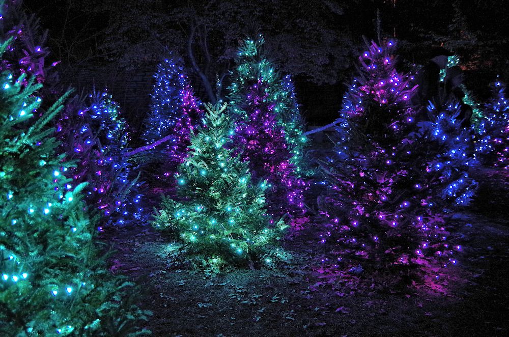 Garden Glow Missouri Botanical Garden Tim Archibald Flickr