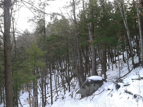 road old railroad bridge trees winter mountain snow cold ice cool december close view hill tracks newengland newhampshire rr roadtrip nh off route just trail ravine brook brandy 31 31st snowmobile obsolete usofa oldbridge lyndeborough fromthetop 2013 rt31 newhampshireusa