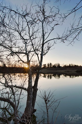 morning light sun lake reflection tree water landscape kentucky ky louisville hdr