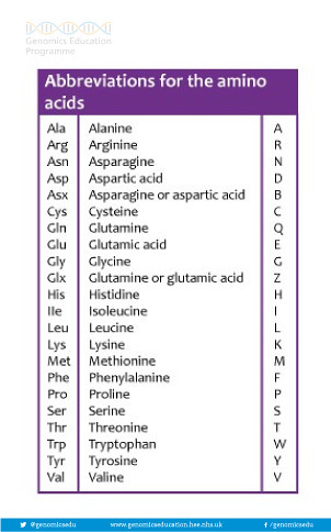 Table of abbreviations for the amino acids