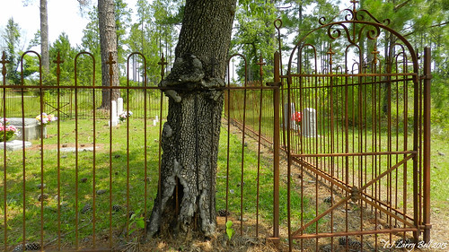 wilsonfamilycemetery1913 littleriver baldwincounty alabama larrybell larebell larebel cemetery southernphotosoutlookcom