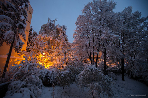 snowfall winter brașov românia wintertime spring