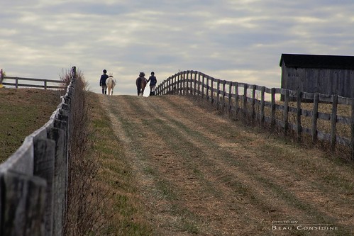 autumn clouds landscape shed fences pony ponies