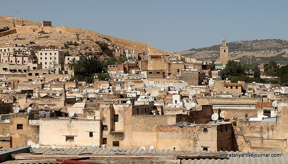 Зачем в этом марокканском городе каждому туристу вручают веточку мяты? IMG_5304