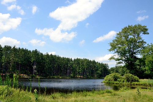 newyork nature lakes milkweed stateparks harrimanstatepark sevenlakesdrive lakenawahunta