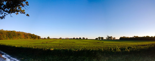 morning panorama sunrise landscape 1020 stansted standon lumia a120 newwood horsecross