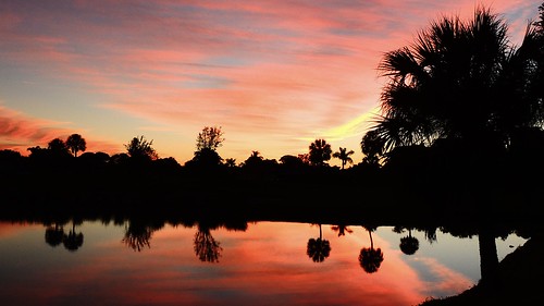 blue trees sunset red wallpaper sky orange lake color water silhouette yellow night reflections palms landscape evening pond flickr florida dusk bradenton mullhaupt jimmullhaupt