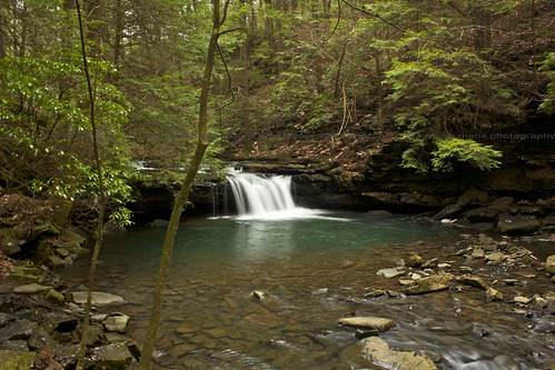longexposure blue green nature water forest flow waterfall woods natural falls bluehole wooded