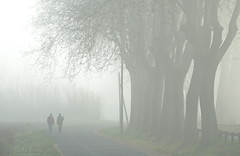 Marcheurs dans la brume. Explore.