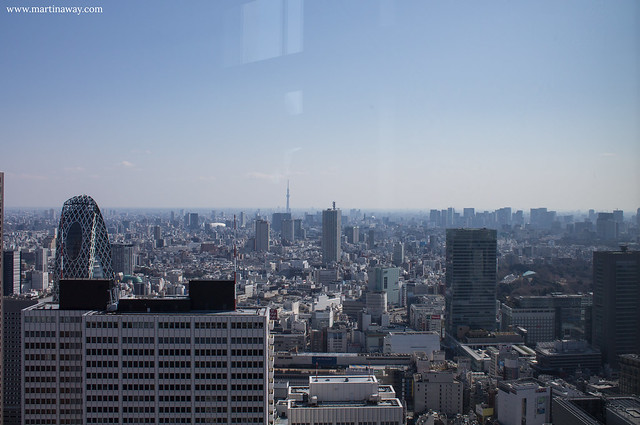 Tokyo Metropolitan Government Building