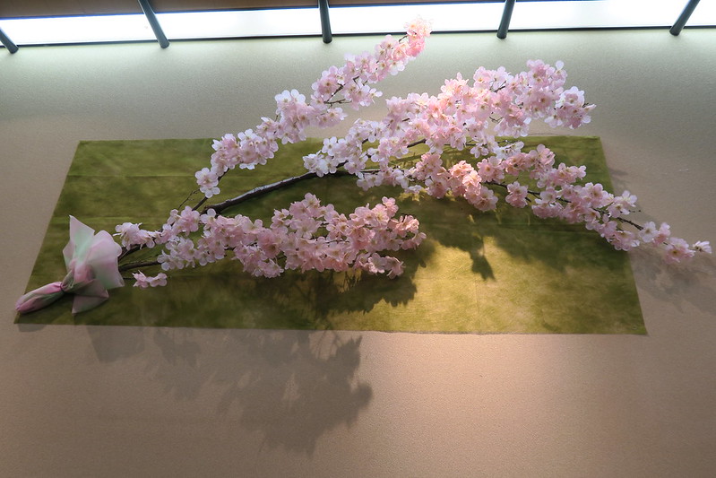 のきば 店內的巨大櫻花枝，節期氣氛滿點!!