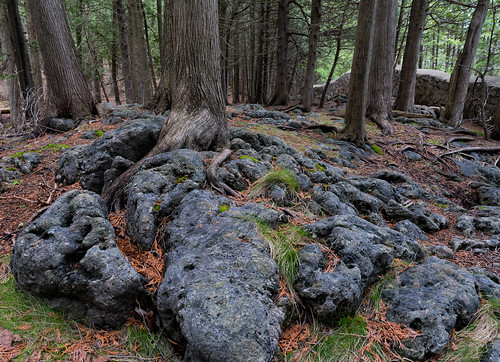 landscape nature ontario hiking trail bruce eugenia falls conservation forest rocks flesherton canada ca