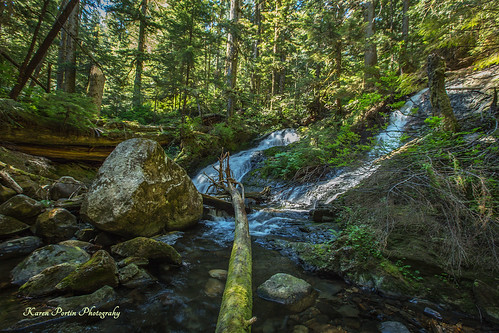 creek waterfall moss logs boulders lake22trail lake22creek