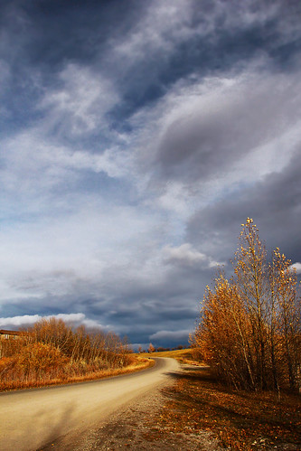 road autumn trees light sky house fall nature grass leaves weather clouds canon day shadows cloudy earth path atmosphere overcast foliage soil dirt bushes davidsmith calgaryalbertacanada eos60d