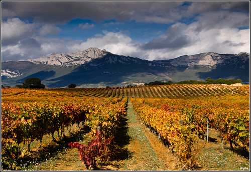 rojo nubes laguardia otoño montañas ocre viñedos vides hileras slicesoftime