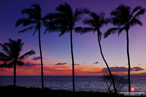 leica sunset nature landscape outdoors island hawaii scenic rangefinder maui tropical fullframe fx kihei waterscape m9 summicron35mmf2asph oceansouth leicam9 thephotographyblog agm9 palmtreesbeachsilhouettescloudsskypacific
