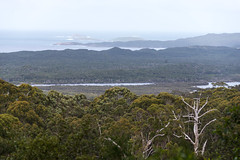 Hilltop Road, Tingle Drive, looking out over the Frankland river and Saddle Island, WA.