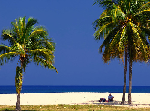 blue vacation holiday beach paradise havana cuba palmtree tropical caribbean polarized playadeleste magicunicornverybest villabacuranao
