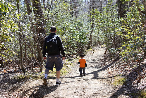 Shenandoah National Park - Whiteoak Canyon Trail - Ryan and Sagan Hike Through Mountain Laurel