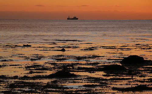 ship sunset faxaflói iceland sea kelp orange horizon march 2017