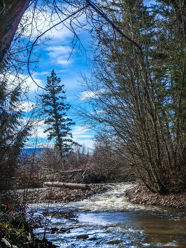 whitemancreek creek runoff spring vernon britishcolumbia canada
