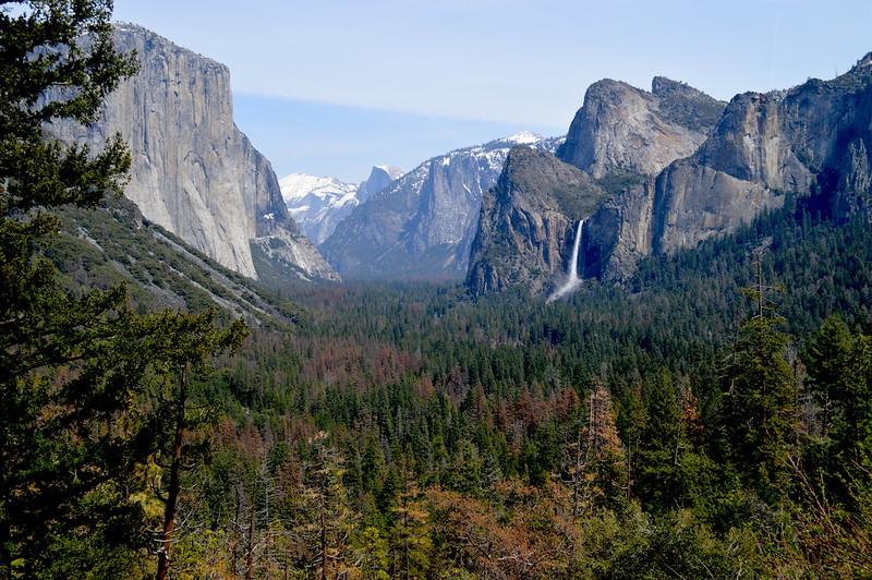 Yosemite Valley View 3