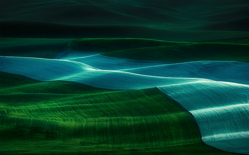 park blue sky usa abstract green field lines rural landscape countryside washington cool twilight nikon view dusk country farming scenic wave line hills pacificnorthwest vista bluehour agriculture nikkor pastoral washingtonstate viewpoint pnw wavy rolling gloaming undulating palouse mytop d90 leadingline steptoebutte 2013 steptoebuttestatepark 55300 nikond90 55300mm 55300mmf4556gvr tronam gabrieltompkins tronamcom