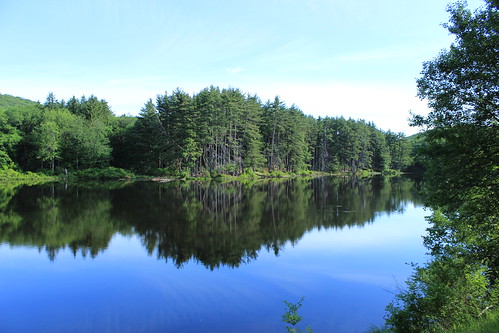 park blue lake reflection tree green water landscape woods tranquility calm harrimanstatepark elitephotography