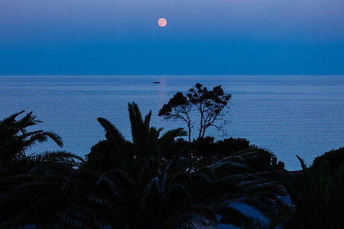 blue sea france boat twilight corsica fullmoon palmtrees fullsize canonef70200mmf4lisusm canoneos5dmarkii santamariapoggio korsika2013