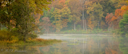 wood autumn trees fall nature water leaves sunrise canon landscape outdoors morninglight pond october cloudy overcast 7d cloudysky buschwildlife canon7d canon1585mmlens
