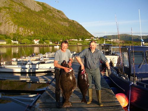norwegen angeln angelurlaub angelreisen mittenursalzwasser namsosleka