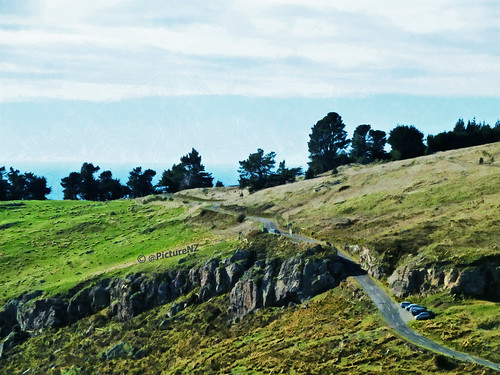 road trees newzealand christchurch grass car silhouette rock canterbury nz summit southisland rd porthills