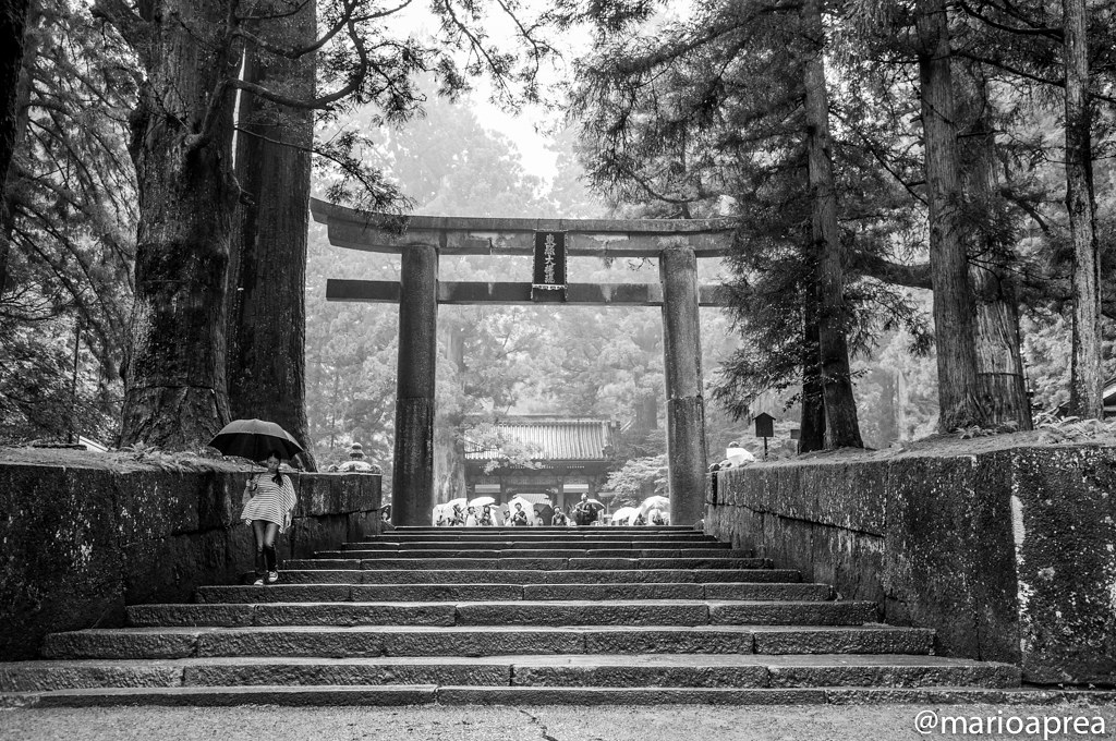 Toshogu shrine