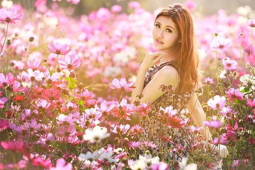 pink summer sky woman white flower sexy green nature floral girl beautiful beauty smile field grass fashion yellow female season relax asian thailand outside outdoors happy one freedom colorful dress view adult natural blossom background joy young meadow free lifestyle happiness thai poppy romantic concept brunette joyful relaxation cosmos chaplet nakhonratchasima takhop