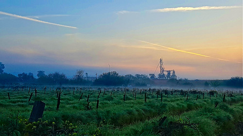 vinyard highway silos industrialplant sunrise fog trees grass kingsburg davemeyer