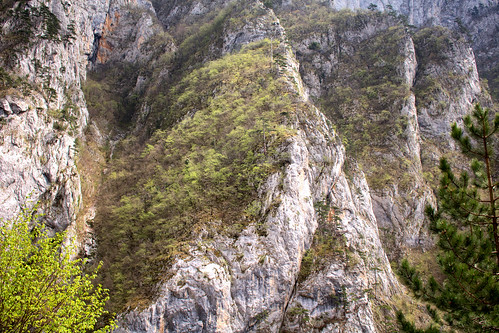 bosniaandherzegovina bistricariver canyon balkans