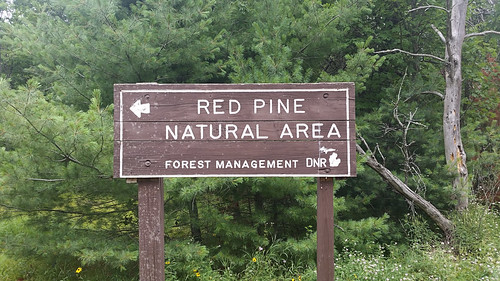 2016 roscommonredpines pine sign tree sthelenmi michigan