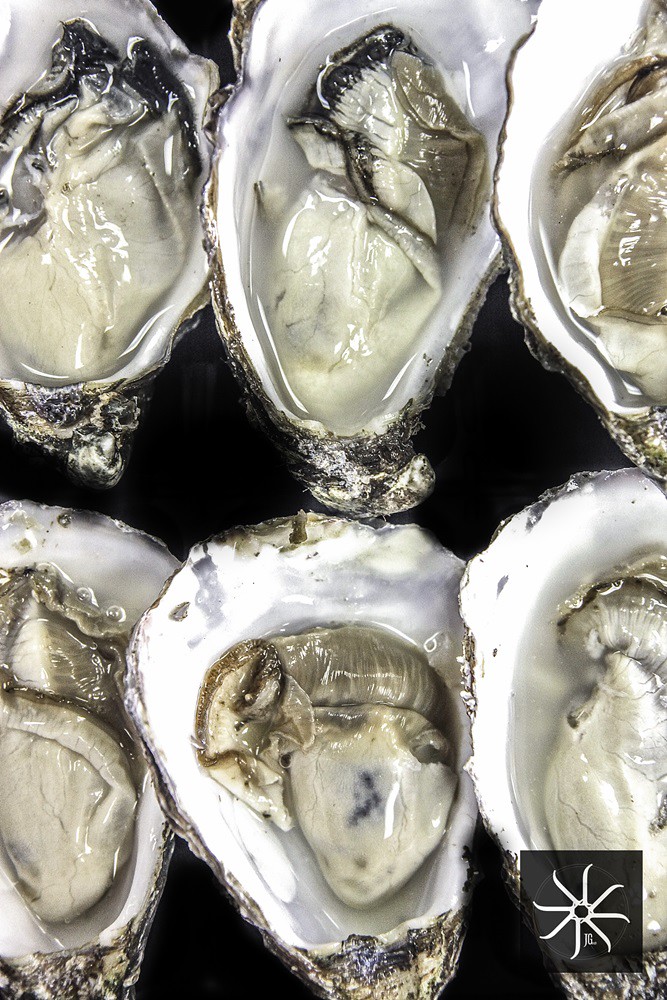 oysters southern rock seafood bangsar - shucked publika-015