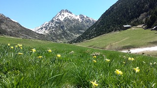 VALL D'INCLES 002