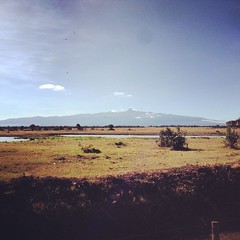Mount Kenya. A little later.