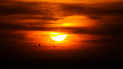 sunset red sun seagulls sol clouds rouge atardecer soleil rojo fuji finepix nubes fujifilm nuages gaviotas coucherdesoleil hs25exr