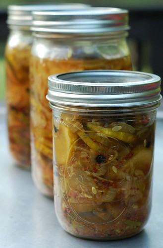 Bread & Butter Pickles by Eve Fox, the Garden of Eating, copyright 2014