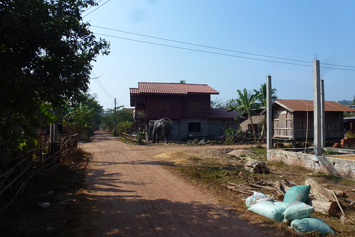 laos 2014 phouasa villageauxéléphants roiattapeu