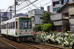 TODEN Rose Station "Machiya" (Machiya, Tokyo, Japan)